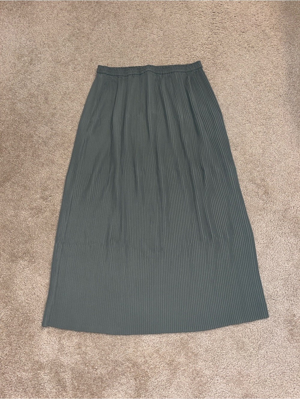 Chaus Presses Green Pleated Skirt